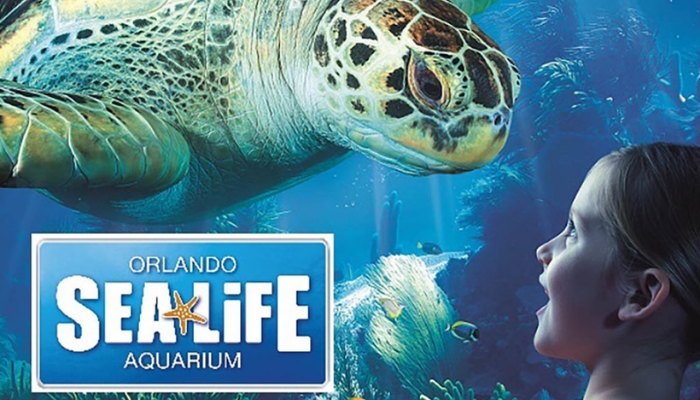 Saiba mais sobre o Aquário Sea Life em Orlando e conheça mais esta atração no ICON Park.