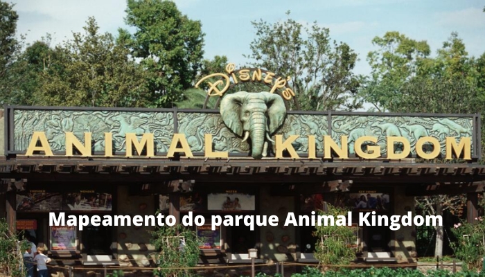 Confira agora nosso guia completo do Animal Kingdom na Disney. 