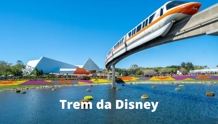 Confira nosso passeio pelo Trem da Disney e saiba tudo sobre este transporte da Disney.