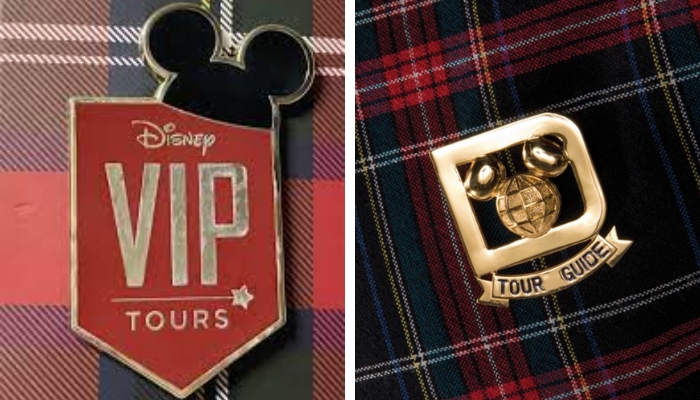 VIP da Disney: a Disney oferece um guia especializado para acompanhar um grupo de visitantes durante um dia nos parques da Disney. 