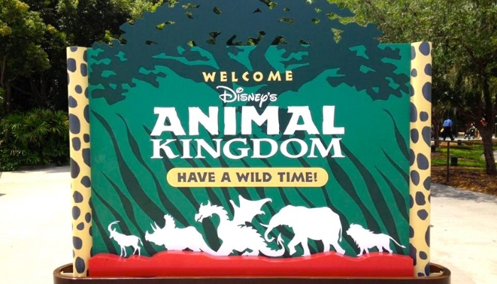 Altura Mínima no Animal Kingdom: Veja agora as atrações com a altura para as crianças entrarem nas atrações.