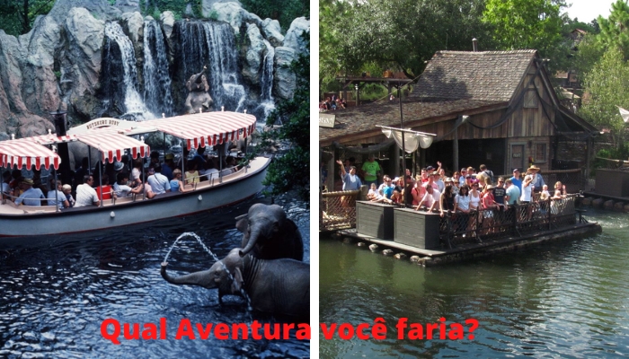 Confira agora duas atrações de aventura na Disney que todos turistas devem visitar.