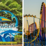 Vale a pena ir ao SeaWorld em 2026