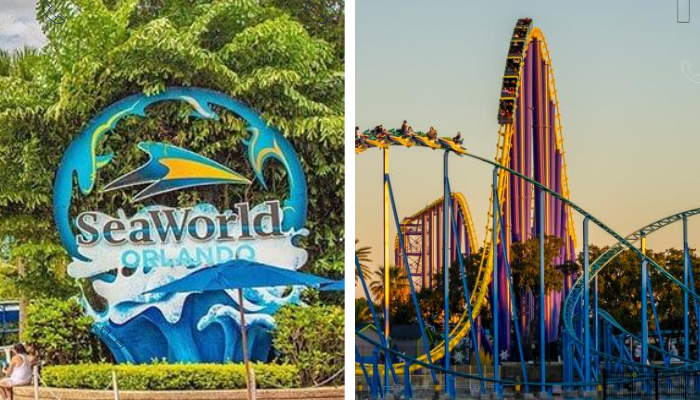 Vale a pena ir ao SeaWorld em 2026