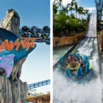 Melhor época para ir ao SeaWorld